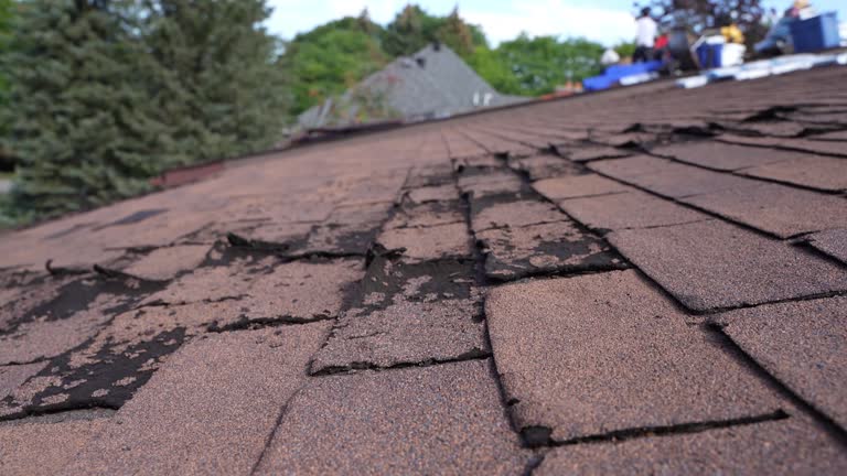 Best Chimney Flashing Repair  in Savannah, TN